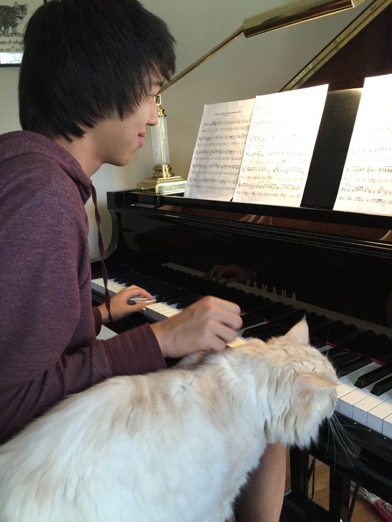 My cat loved this student, so much so that he wanted to join the piano player during his lesson.  So there he is a sitting next to a teenage musician on the piano bench.