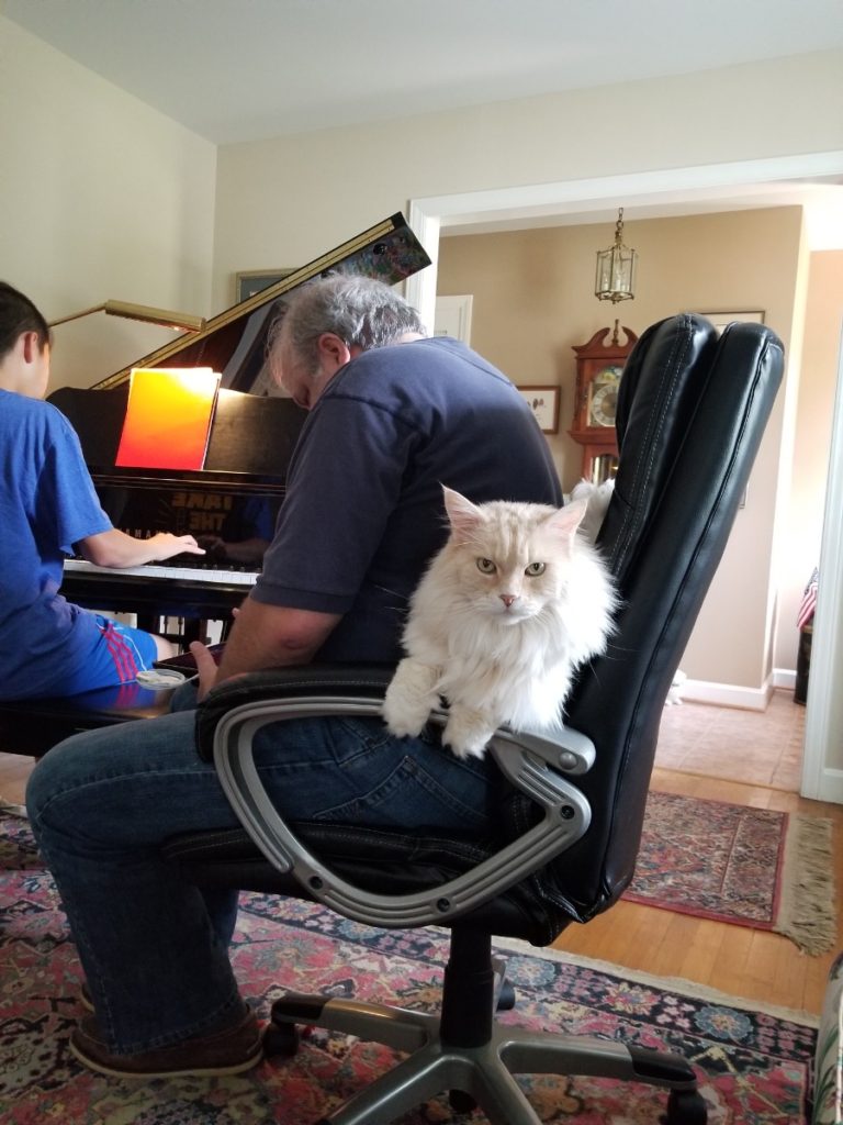 Music Cats Miseries Schweitzer he likes to help me teach too
