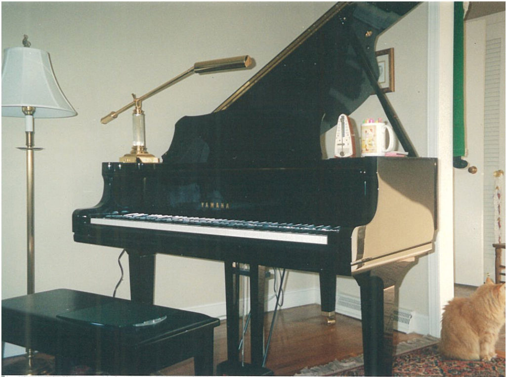 My living room Yamaha.  This is where I play piano and sing to record songs for my YouTube channel.